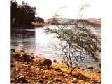 View of the Sea of Galilee.